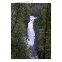 deceptionfalls cards by IGTFtleine deceptionfalls cards