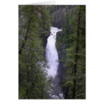 deceptionfalls cards