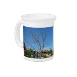 Deciduous tree with single leaf beverage pitchers