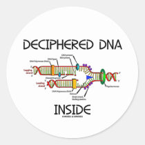 Deciphered DNA Inside (DNA Replication Humor) Round Sticker