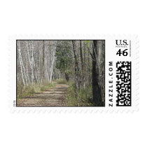 Decision trail postage
