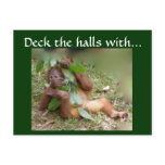 Deck the halls post cards