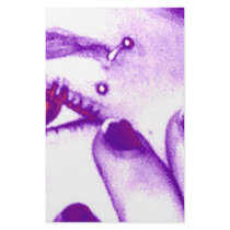 Deco-Brow stationery