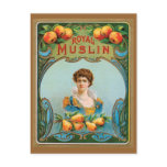 Deco Victorian Royal Muslin Artwork Postcards