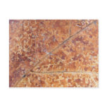 Decomposing Oak Leaf ~ postcard