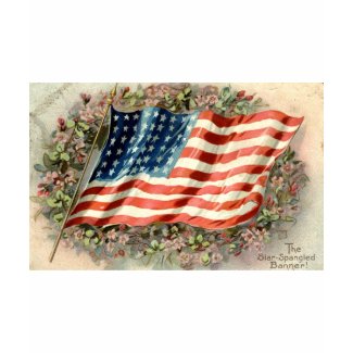 Decoration Day American Flag 1910 shirt