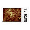 decoration postage by blacqbook decoration postage