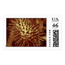 decoration postage