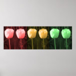 Decorations:  Dream Floral Patterns Posters