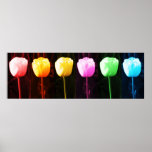 Decorations: Six Color Floral Pattern Posters