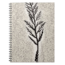 Decorative Algae Note Books