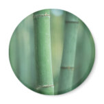 Decorative Bamboo Stalks Magnet Decorative Bamboo Stalks Magnet