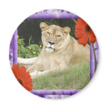 Decorative Lion Magnets