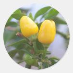 Decorative yellow pepper sticker