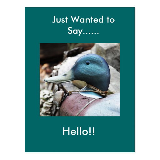 Decoy Roy Postcard 