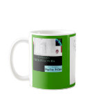 Dedicated to Gaudi, 1. Mugs