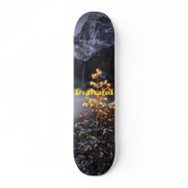 Dedication Skateboard Decks
