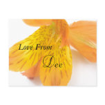 Dee Postcard