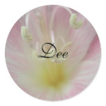 Dee Round Sticker