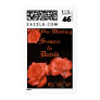 Deep Apricot Bronze Roses