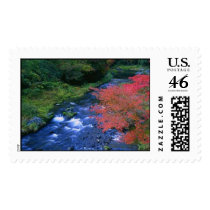deep autumn postage by christiangurl08 deep autumn postage