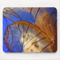 Deep Blue Beauties mousepads