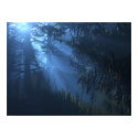Deep 'Blue Forest posters by phillipdeck Deep 'Blue Forest posters