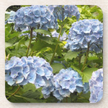 Deep Blue Hydrangeas Drink Coasters