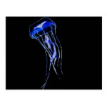 Deep Blue Post Card