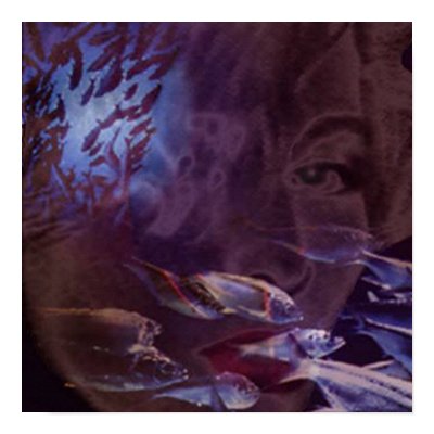 Deep blue print by Herres