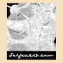Deep Blue Sea Coloring Book Page