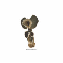 Deep Brown Mushrooms Sculpture photo sculptures