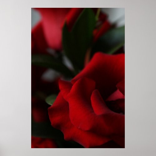 Deep, Dark Red Roses print