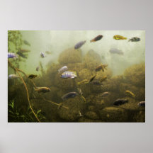 Deep down print