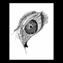 deep eye posters