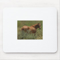 Deep in Chollia Cactus mousepads by RawArtWork Deep in Chollia Cactus mousepads