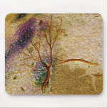 Deep in the forest.... mousepads