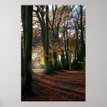 Deep In The Heart Canvas & Poster Print