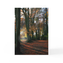 Deep In The Heart Greetings & Note Card