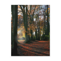 Deep In The Heart Postcard