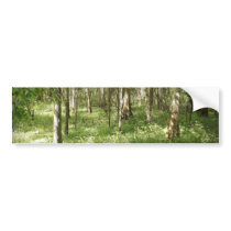 Deep in the Woods Bumper Stickers