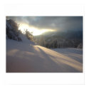 Deep in Winter posters
