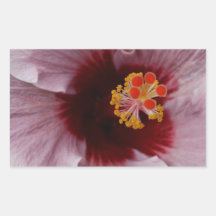 Deep Maroon center of Pink Hibiscus! Rectangular Sticker