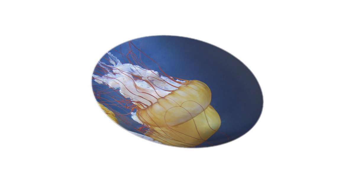Deep Ocean Jelly Fish Dinner Plate Zazzle