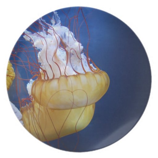 Deep Ocean Jelly Fish Dinner Plate Zazzle