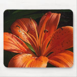 Deep Orange Mouse Mat