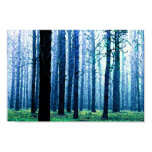 Deep Piney Woods Poster