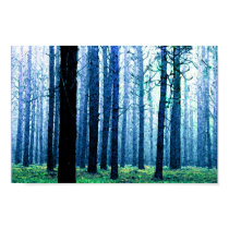 Deep Piney Woods Poster posters by SunrisePhotos Deep Piney Woods Poster posters