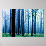 Deep Piney Woods Poster