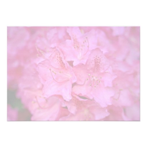 Deep Pink Azalea Cluster flowers Announcements